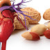 6 Health Benefits of Peanuts That Will Change the Way You Snack!